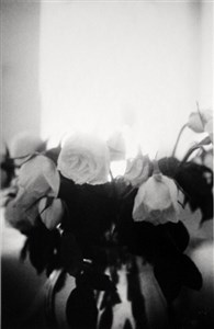 Image description is not available for 2010.122